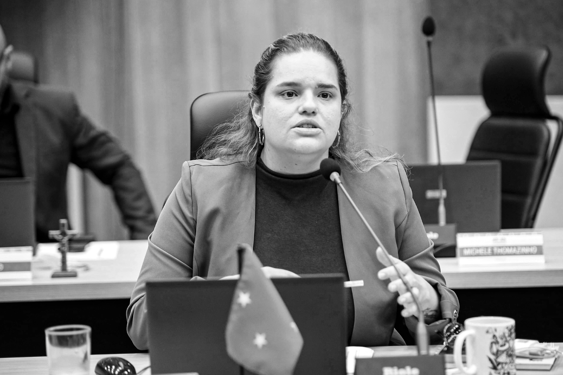 vereadora paula vicente