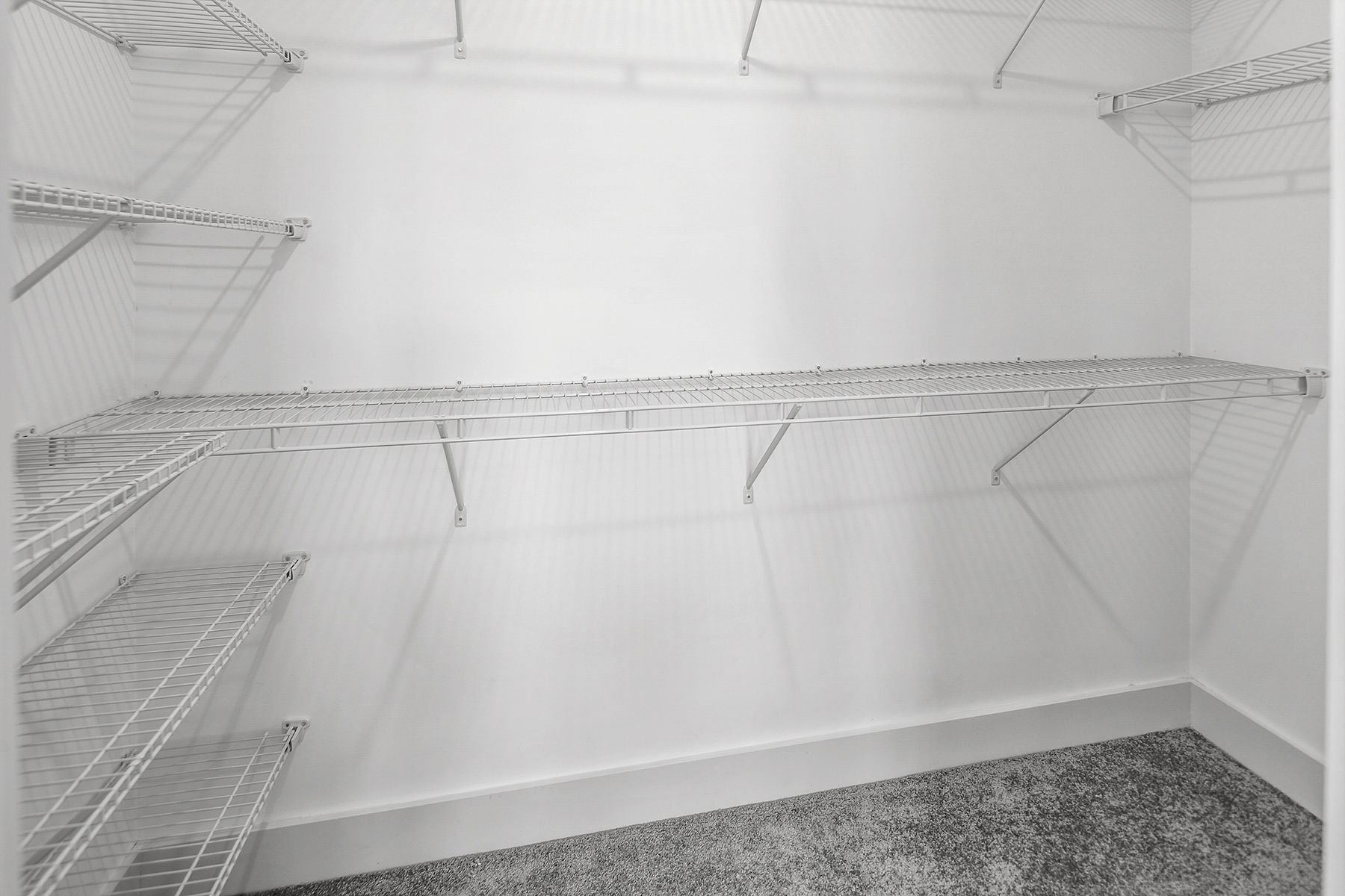 Empty white closet with wire shelving on a white wall. Carpeted floor.