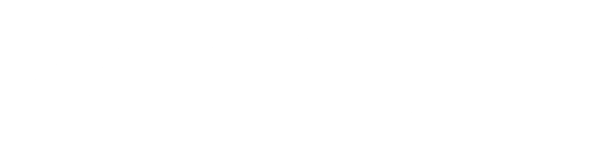Sacred Stone Kinesiology logo