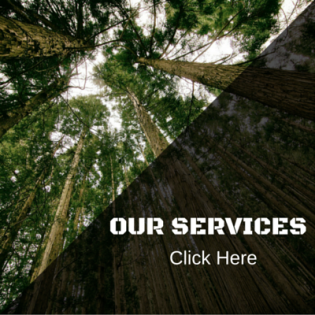 our services click here