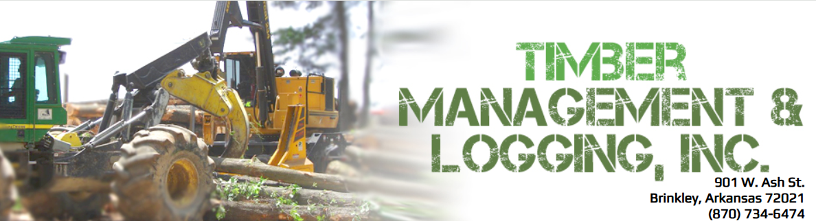 timber manangement logging