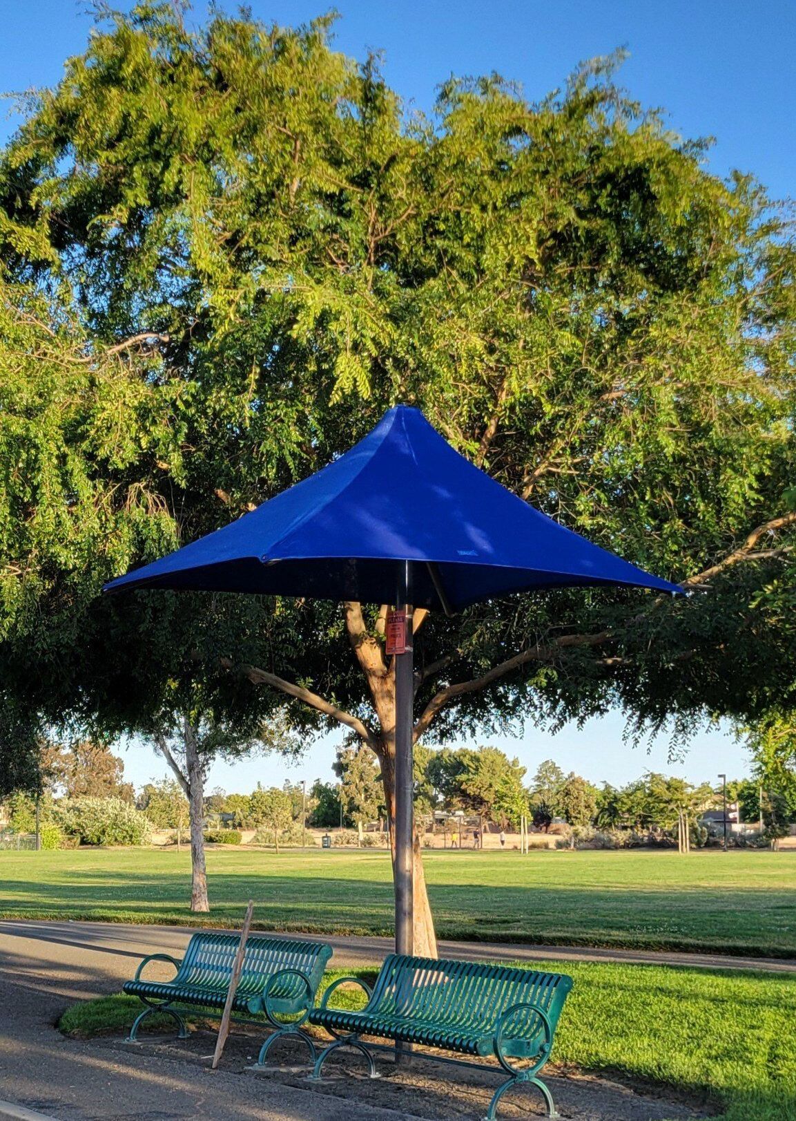 A blue umbrella is sitting under a tree in a park.