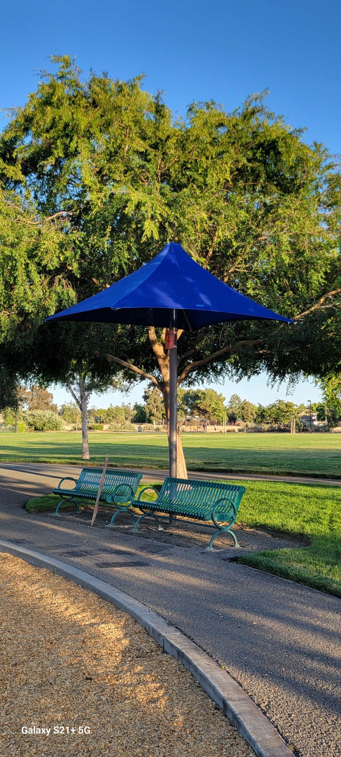 A blue umbrella is sitting under a tree in a park.