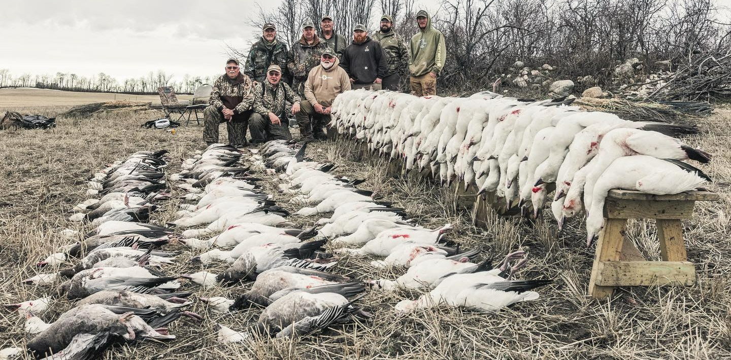 goose hunting outfitter Saskatchewan