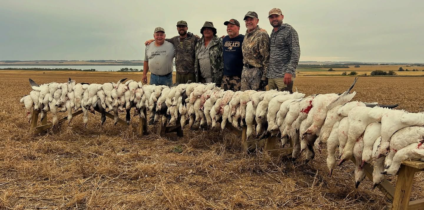 spring snow goose hunting outfitter in Canada