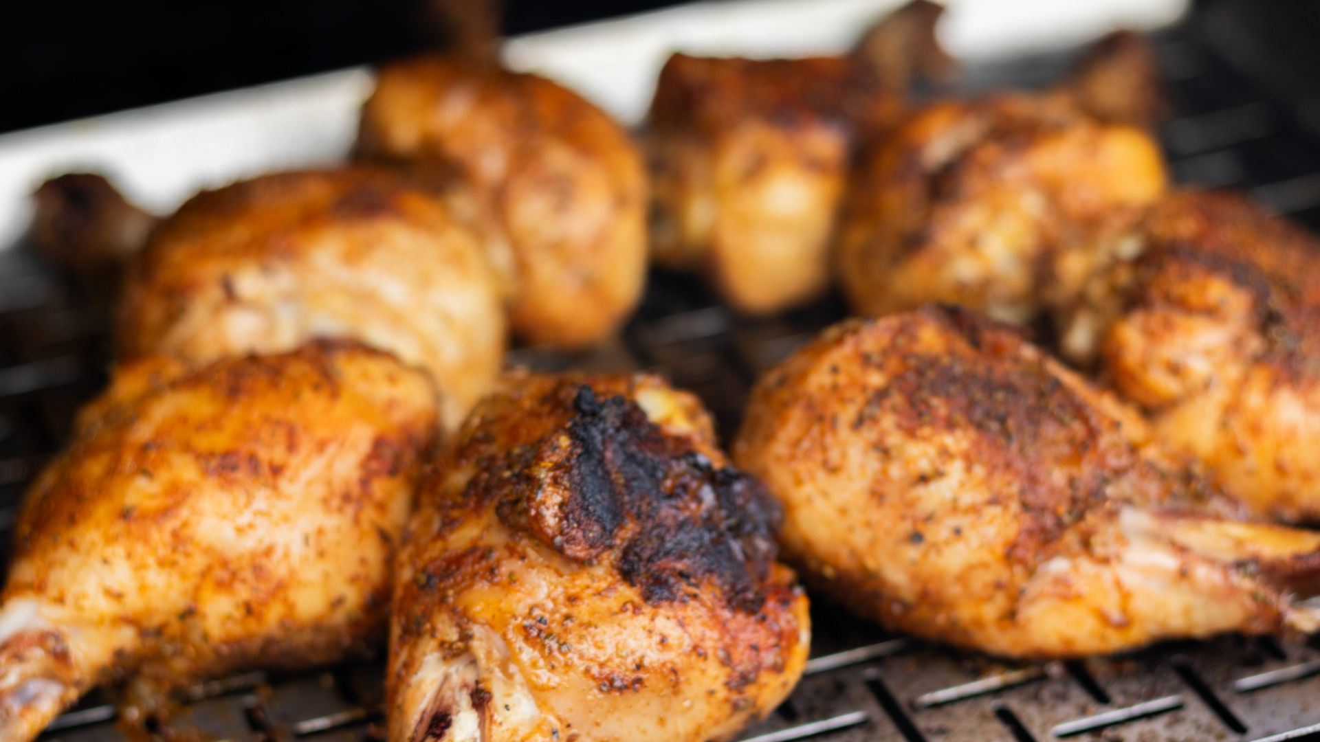 grilled chicken
