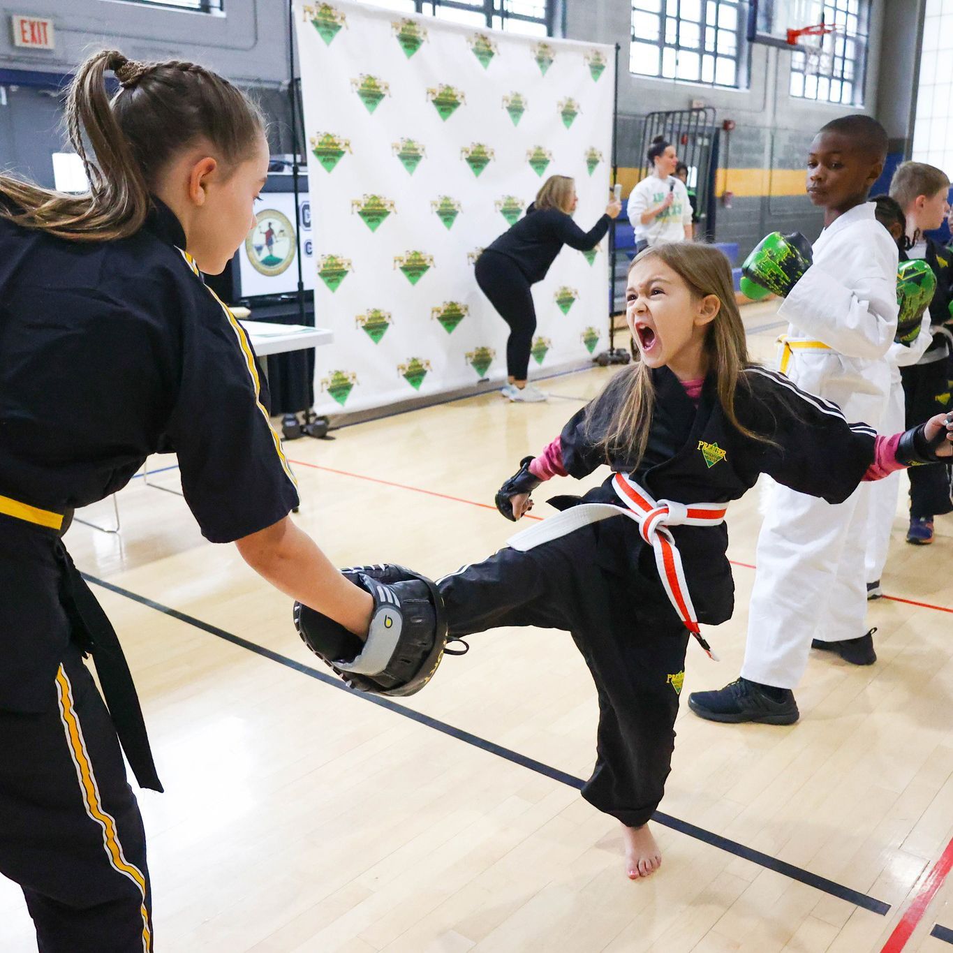 A group of people are watching a karate match