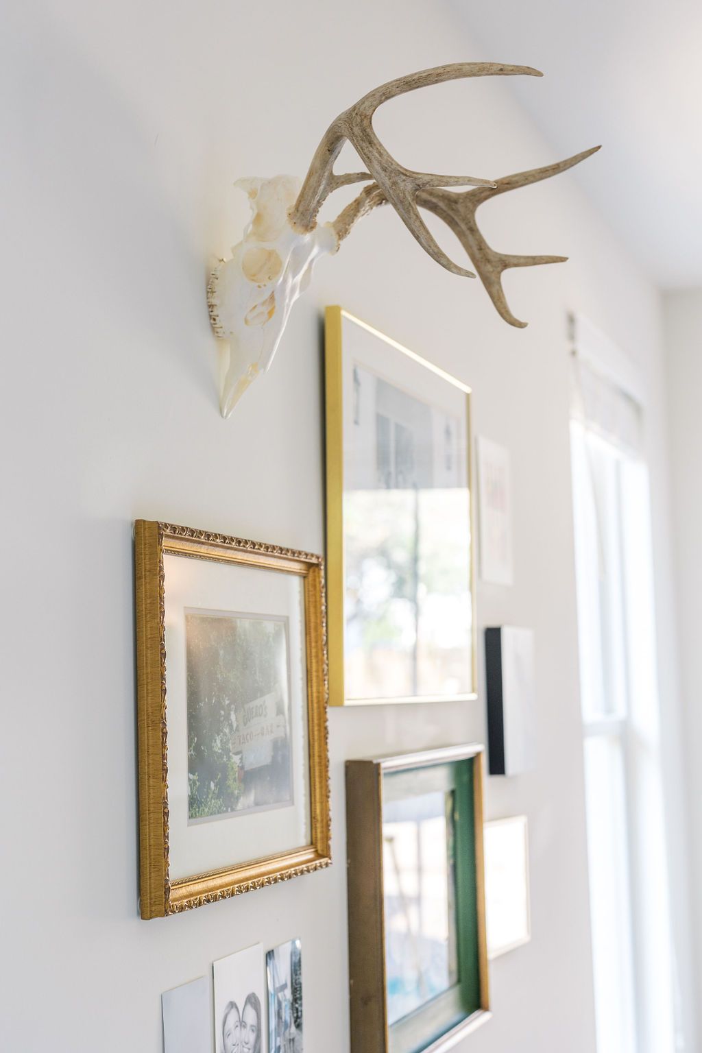 A deer skull is hanging on a wall surrounded by framed pictures