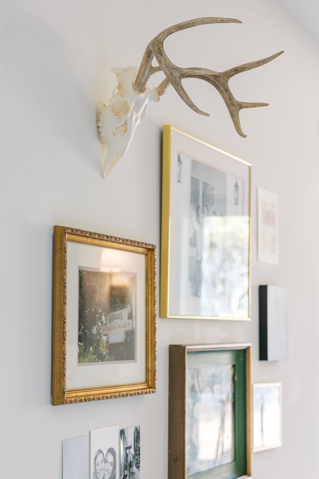 A deer skull is hanging on a wall surrounded by framed pictures
