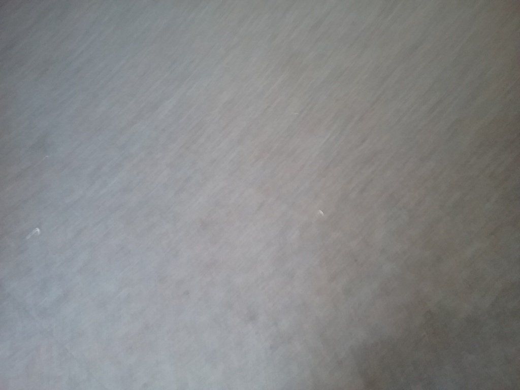 Australia Day 2017 img11