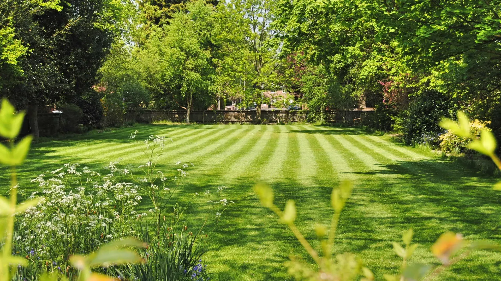 A lush green lawn with striped grass and trees in the background.