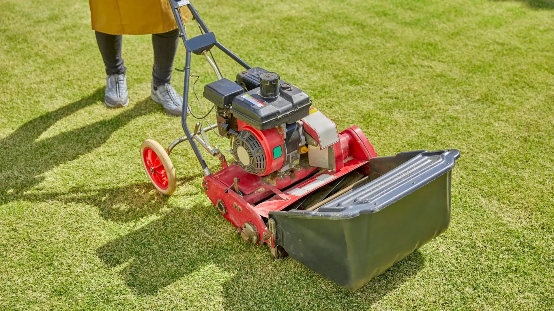 A person is using a lawn mower to cut the grass.