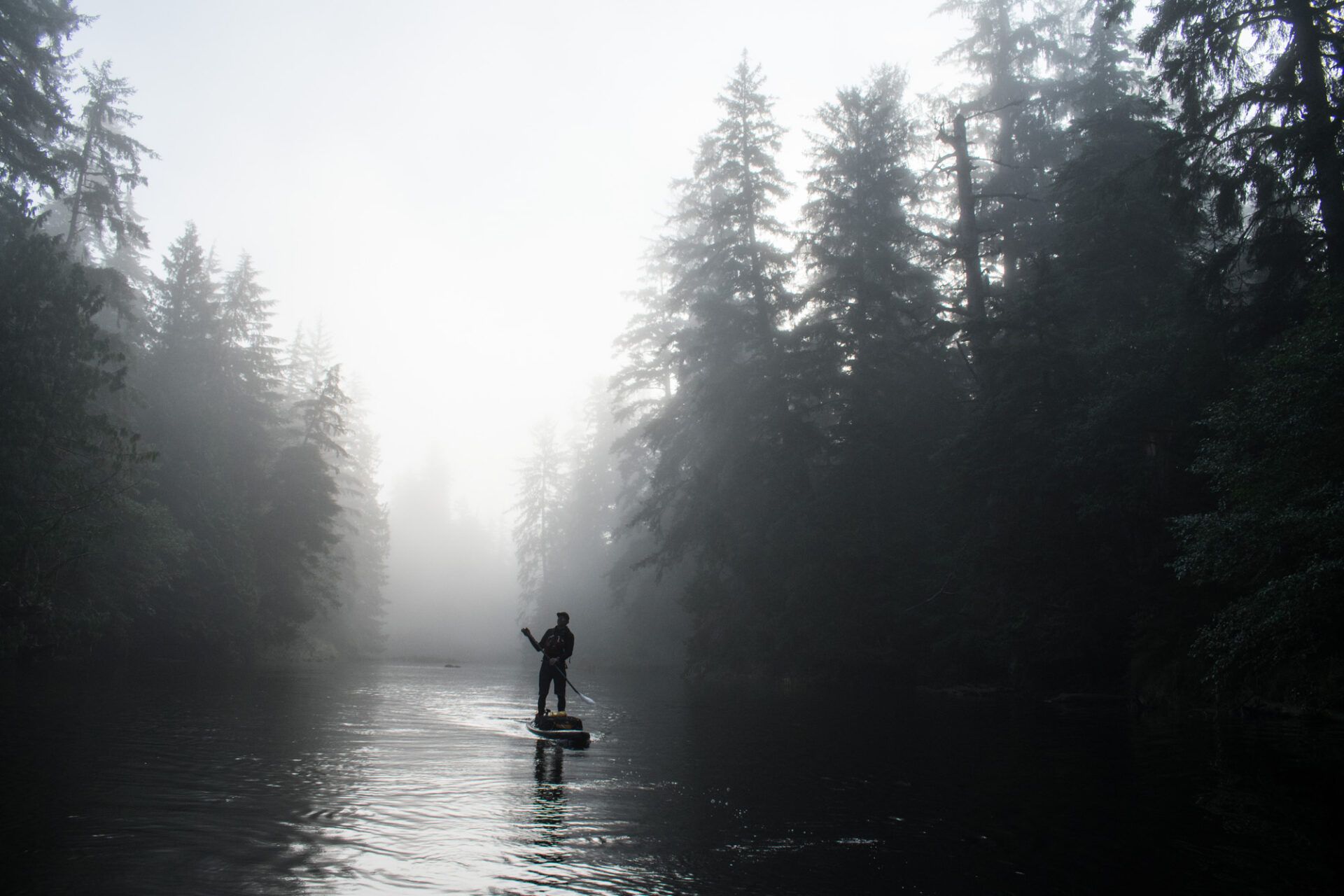 Lone person paddleboarding on a misty river surrounded by tall forest trees