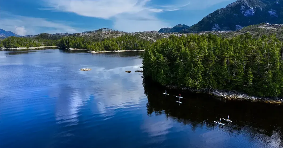 Calm blue lake with mangroves, distant mountains, and a bright sky reflecting on the water