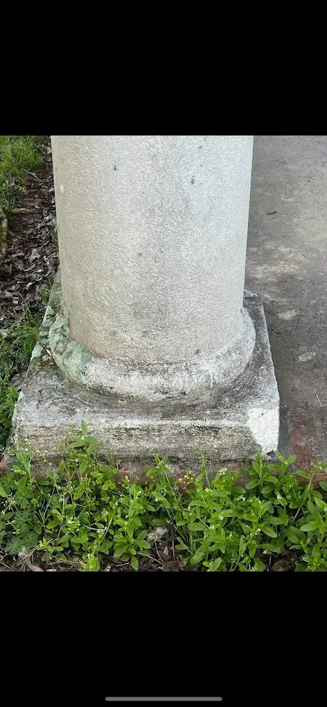 A column's base, text inscribed, surrounded by green plants.