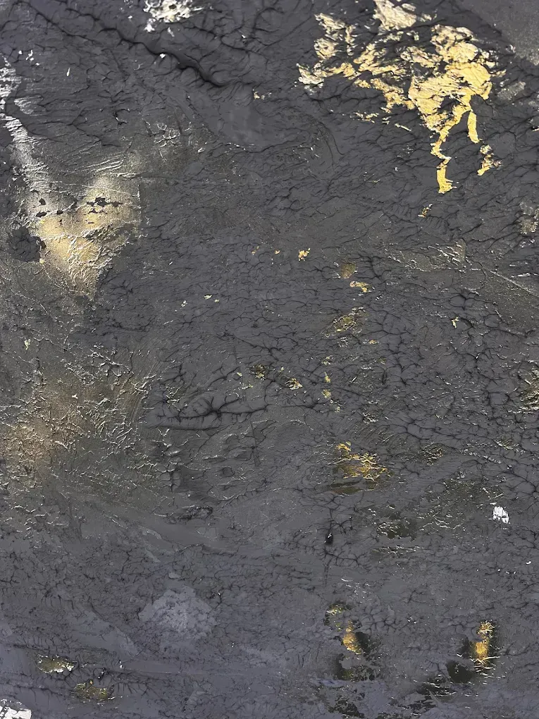 Dark, textured surface with patches of gold and white.