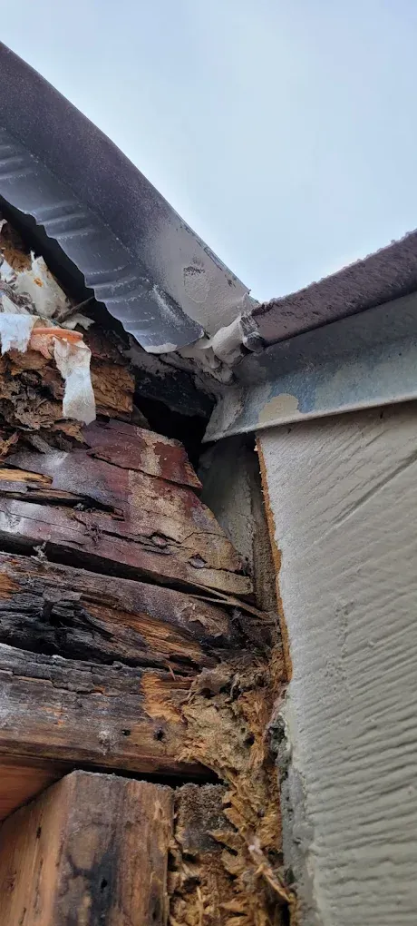 Close-up of severely rotted wood on a building's corner, next to siding and under a roof.