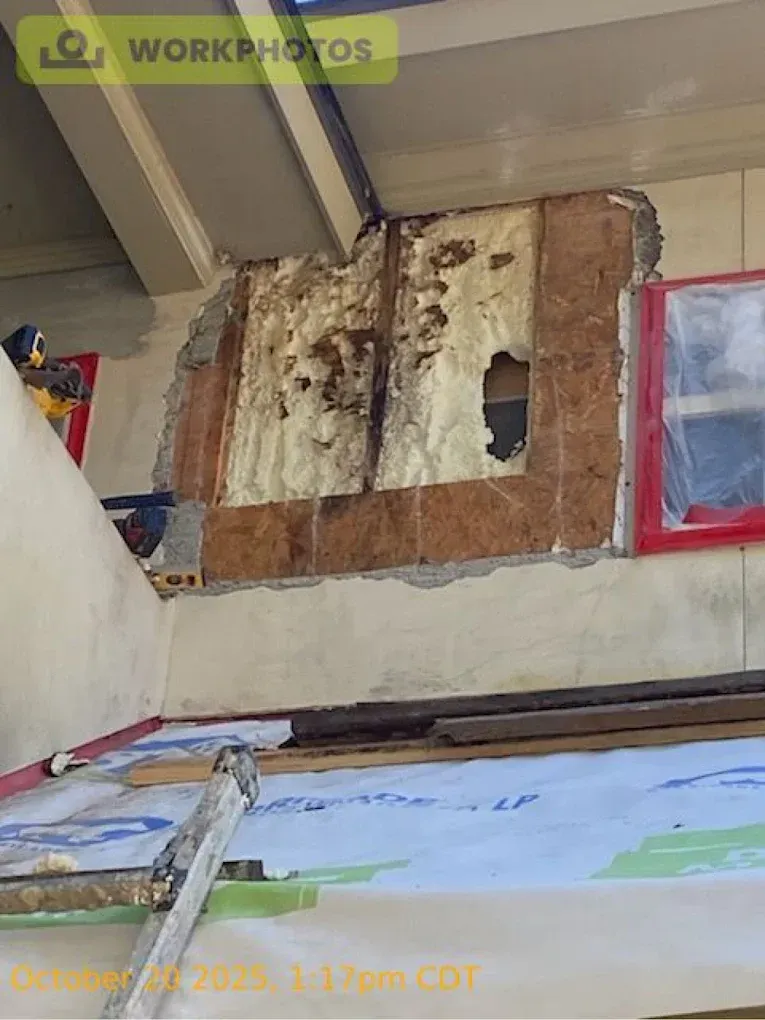 Damaged wall with exposed plywood and mold, near a window frame. Construction materials visible.