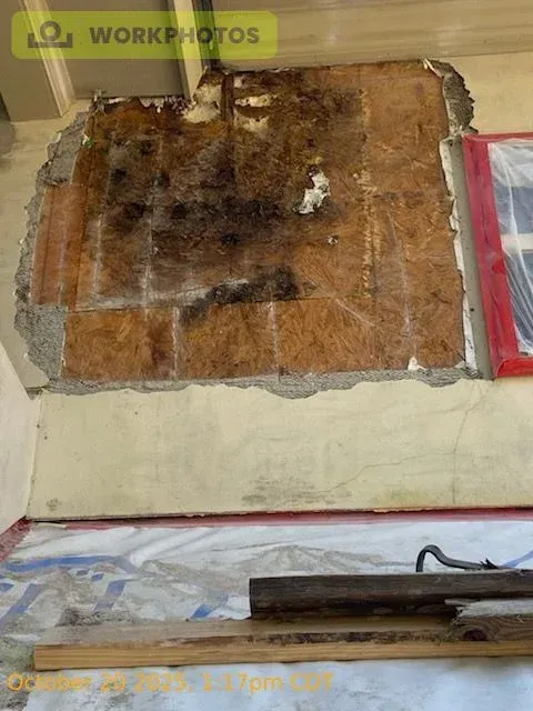 Wall damage exposing plywood. Mold and discoloration present. Red window frame visible.