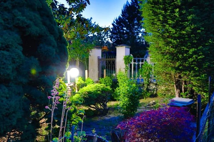 Giardino illuminato al tramonto con siepi, cancello e alberi.