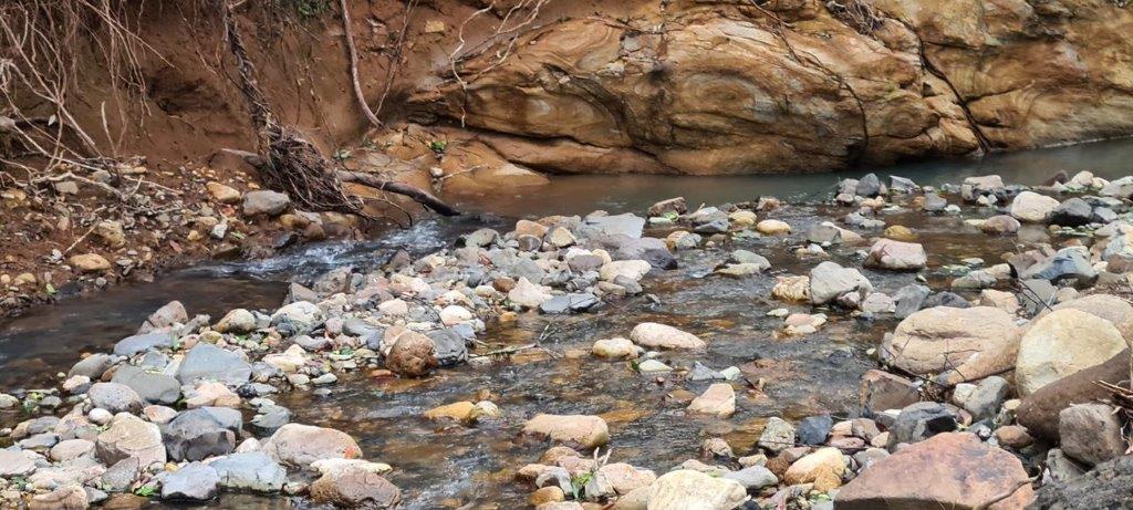 Commissioned Work — Modern Wastewater Treatment in Northern Rivers, NSW