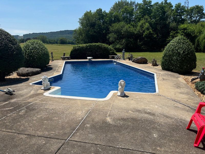 Pool of blue water surrounded by concrete patio and greenery under a sunny sky.