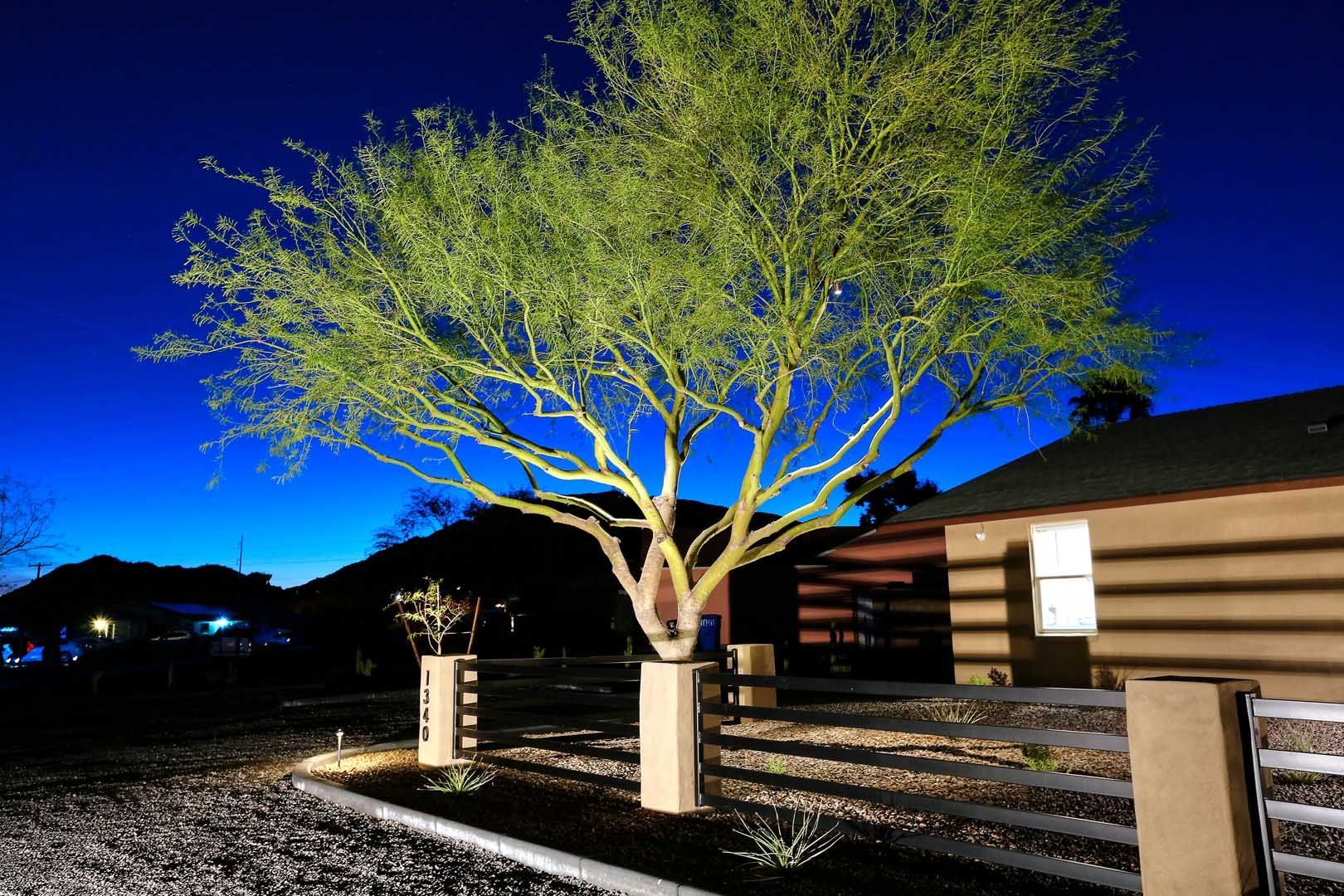 Night-Front Tree-min A tree is lit up in front of a house at night