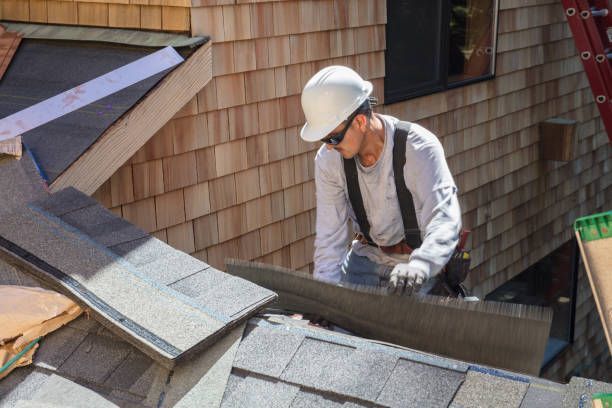 A Comprehensive Guide to Roof Leak Detection