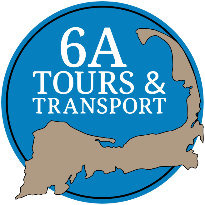6A Tours and Transport