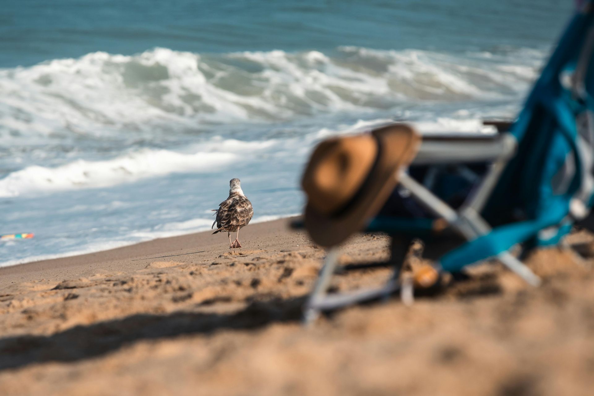 White lighthouse with red door against a blue sky, standing on a grassy area.