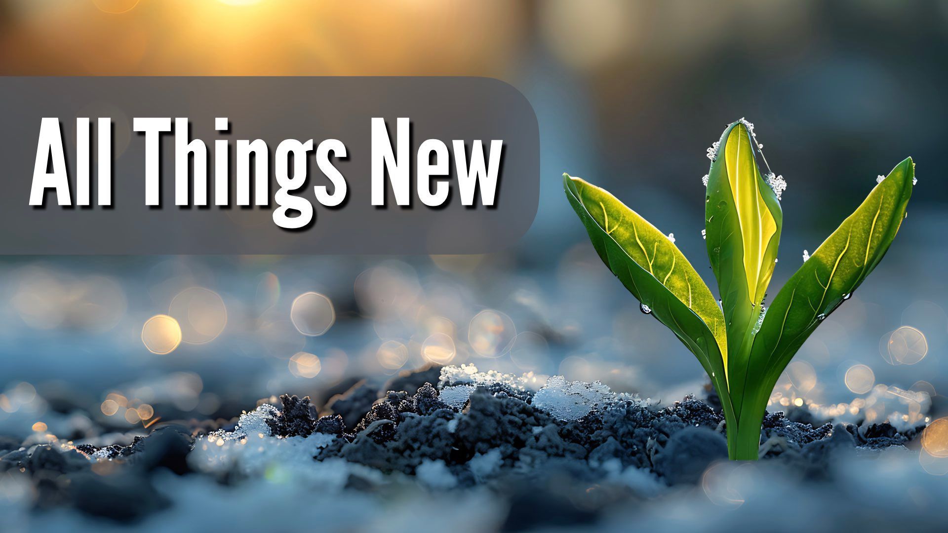 Church in Bogart, GA