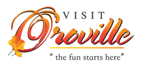 A logo that says visit proville the fun starts here