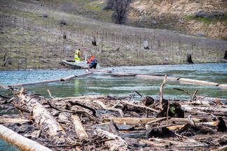 Driftwood is collected and towed in pods with boats throughout Lake Oroville in Butte County, California. Photo taken March 7, 2023.Picture