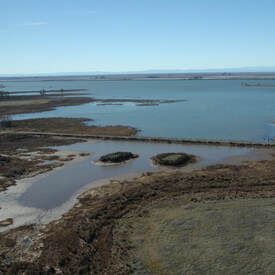 An aerial view of a designated brood pond area at the Thermalito Afterbay. Water surrounds two small, vegetated islands.Picture