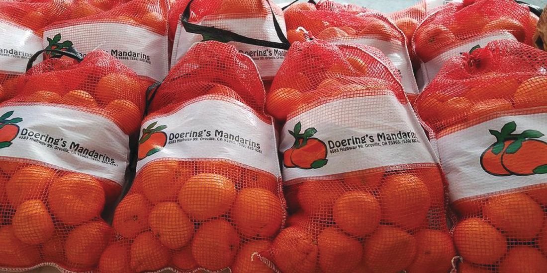 A bunch of bags of oranges sitting on top of each other on a table.