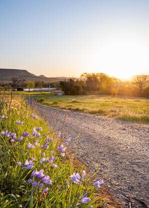 An early morning view of Thermalito North State Recreation Area at the forebay and part of the Brad Freeman Trail on Rattlesnake Hill in Oroville, California.  Photo taken March 29, 2021.Picture