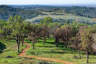 A morning view of Brad Freeman Trail located above the diversion pool in Oroville, California. This part of the trail can be accessed at the new equestrian trailhead parking lot near the Spillway Boat Ramp and Day Use Area. Photo taken March 29, 2021.Picture
