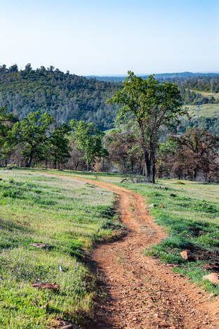 A morning view of Brad Freeman Trail located above the diversion pool in Oroville, California. This part of the trail can be accessed at the new equestrian trailhead parking lot near the Spillway Boat Ramp and Day Use Area. Photo taken March 29, 2021.Picture