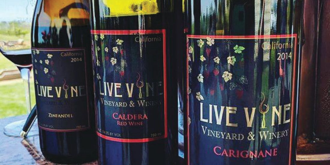 Three bottles of live vine wine are sitting on a table.
