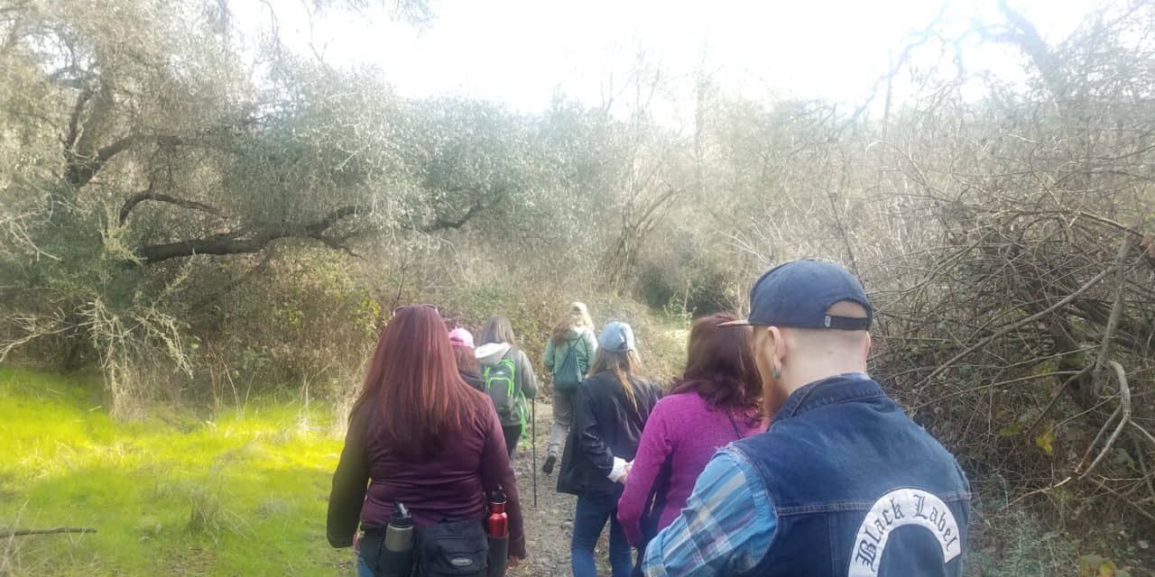 A group of people are walking down a path in the woods.