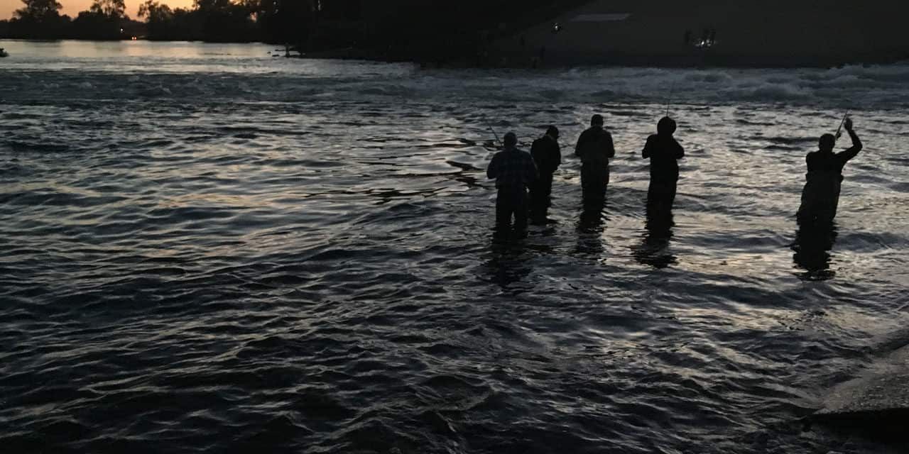 A group of people are standing in the water at sunset.