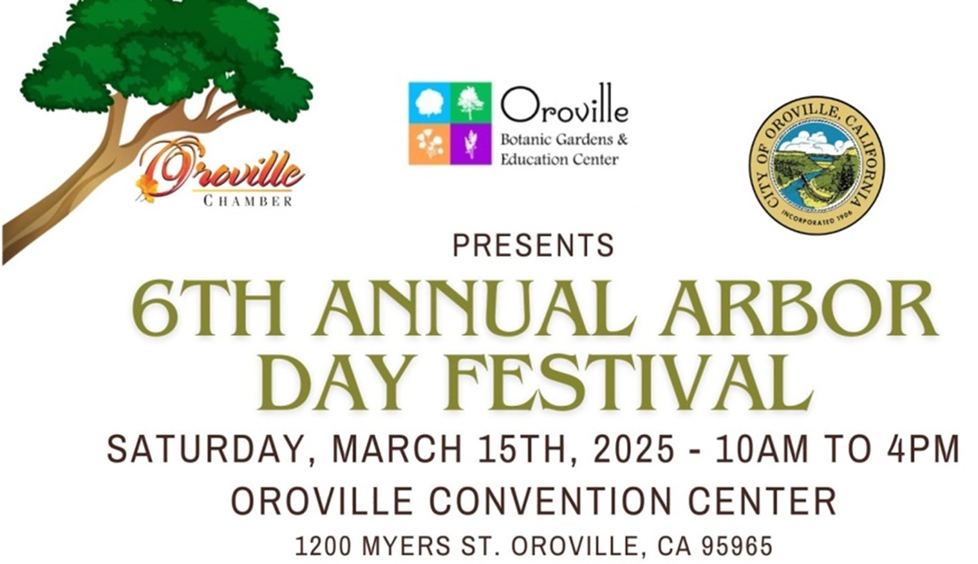 A poster for the 6th annual arbor day festival
