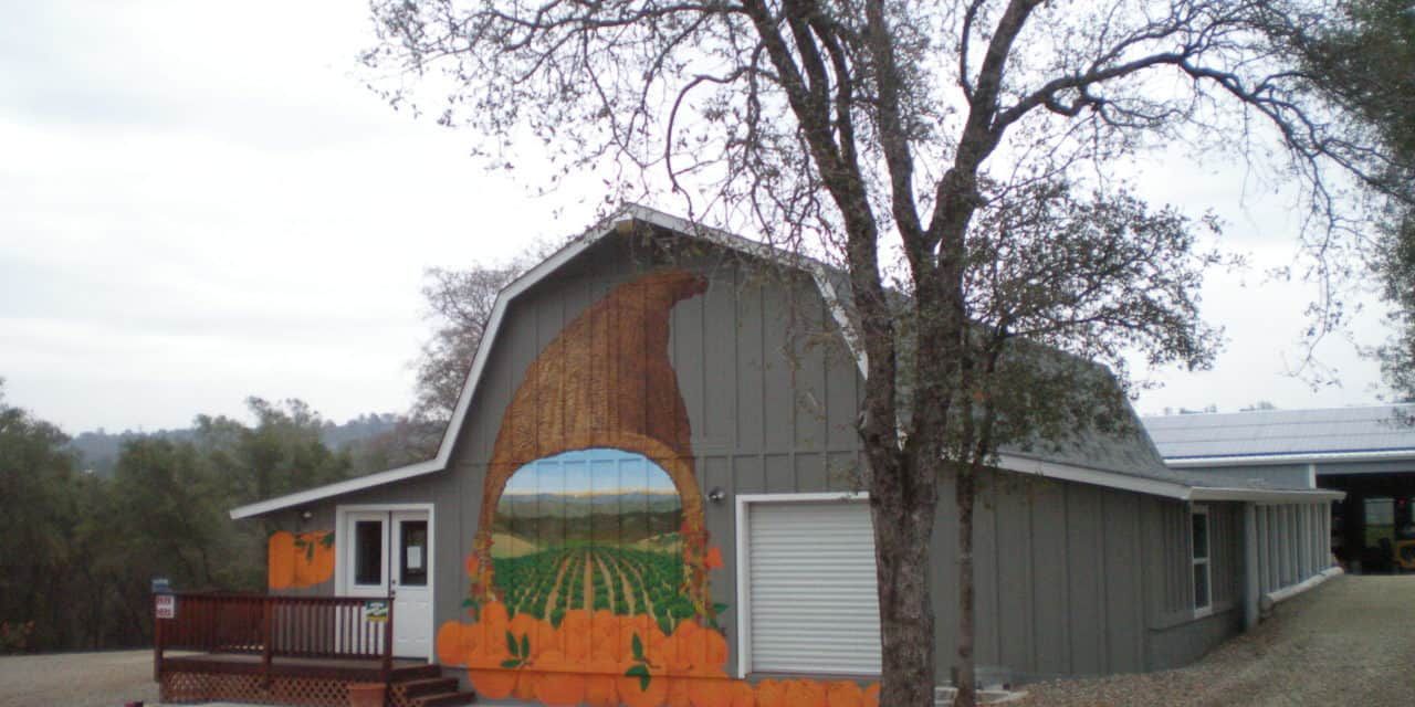 A barn with a painting of a pumpkin on the side of it.