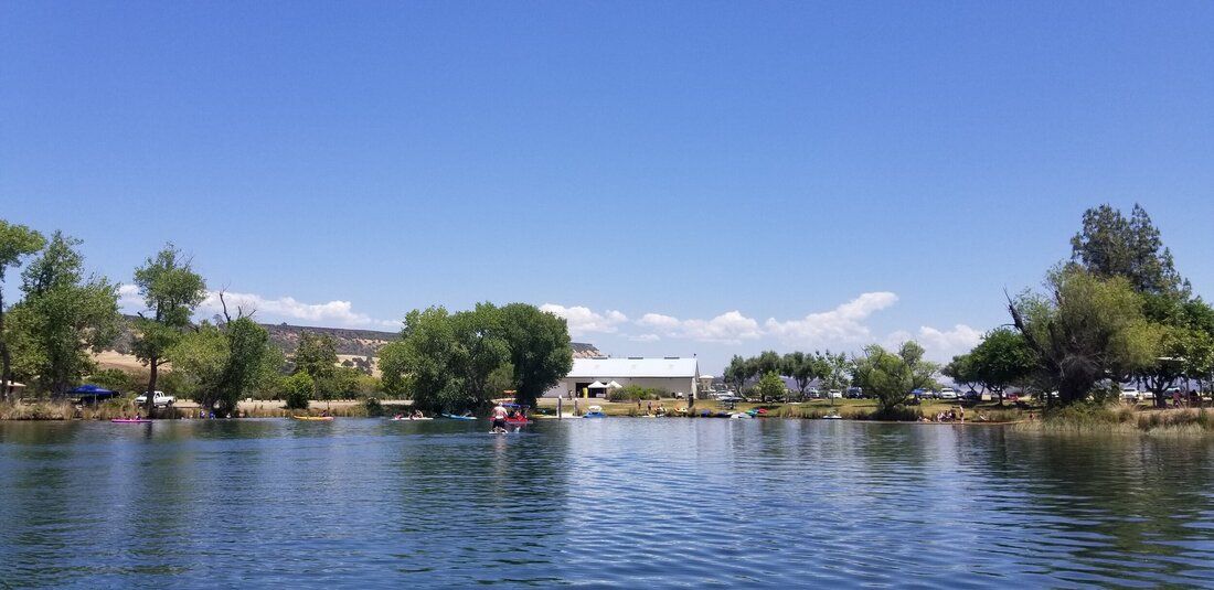 A large body of water surrounded by trees on a sunny day.