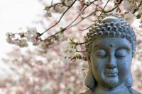 religious statue with cherry blossom in background
