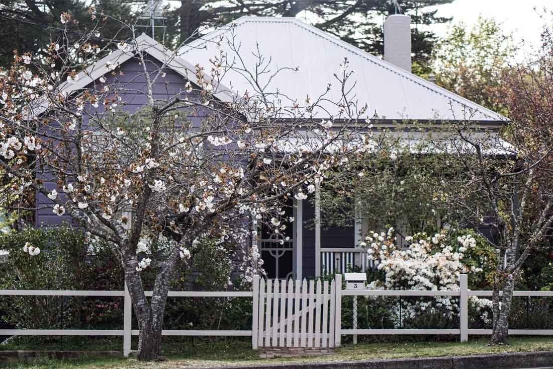 Purple House With a White Roof and a White Picket Fence — MoneySmith Group In Kingscliff, NSW