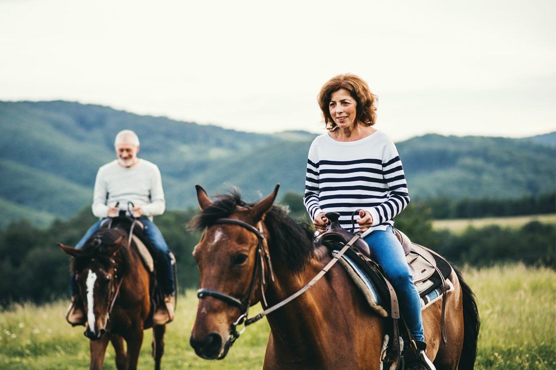 Man and a Woman Are Riding Horses in a Field — Moneysmith Group In Kingscliff, NSW