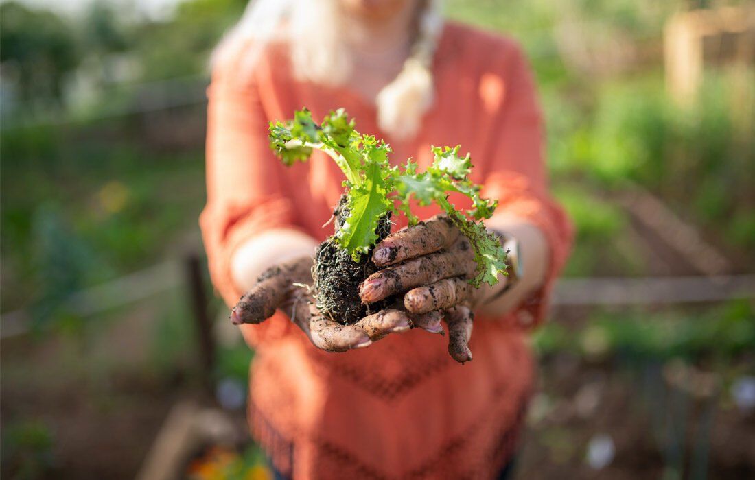 A Woman is Holding a Small Plant — MoneySmith Group In Kingscliff, NSW