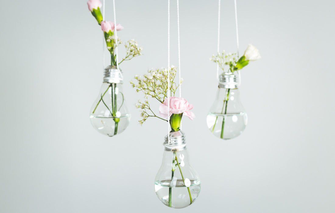 Three Light Bulbs Filled With Water and Flowers — MoneySmith Group In Kingscliff, NSW