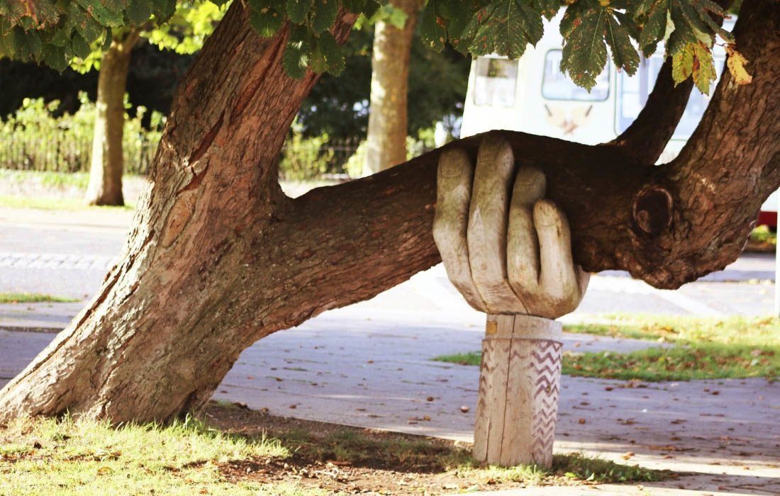 A Statue of a Hand Holding a Tree Branch — MoneySmith Group In Kingscliff, NSW